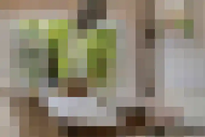Milhoes 2 Mildam thumbnail 19