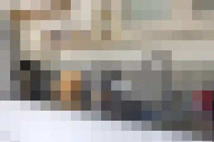 Milhoes 2 Mildam thumbnail 22