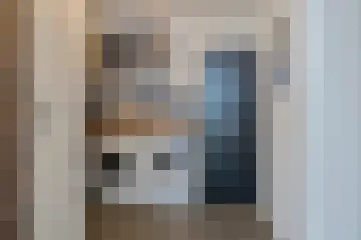 Milhoes 2 Mildam thumbnail 23