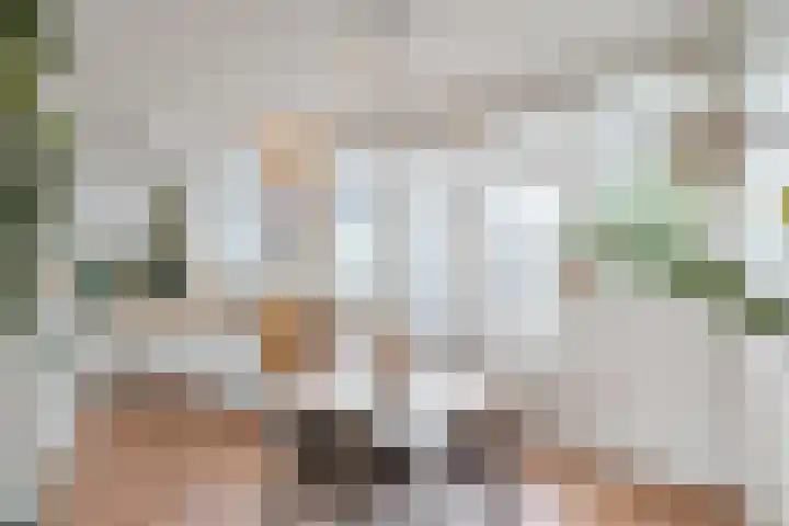 Milhoes 2 Mildam thumbnail 25
