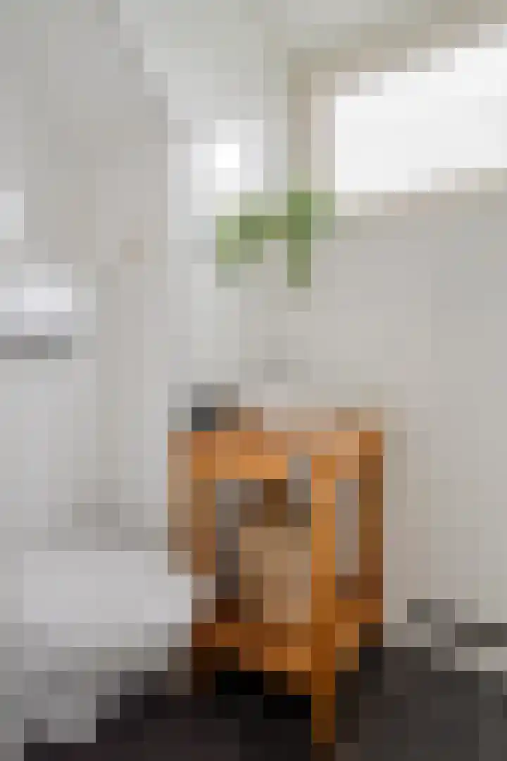 Milhoes 2 Mildam thumbnail 29