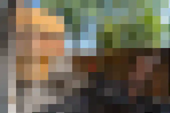 Milhoes 2 Mildam thumbnail 30