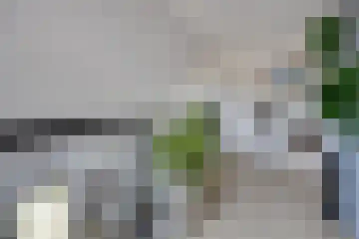 Milhoes 2 Mildam thumbnail 31