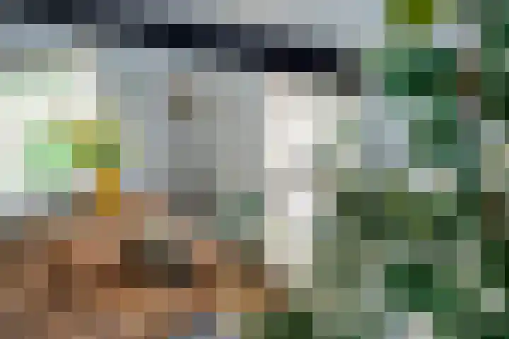 Milhoes 2 Mildam thumbnail 32