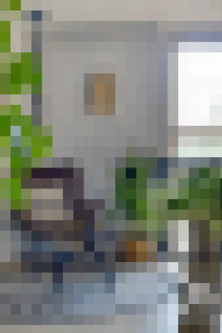 Milhoes 2 Mildam thumbnail 33