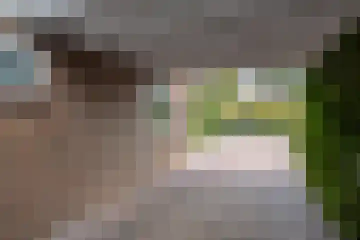 Milhoes 2 Mildam thumbnail 36