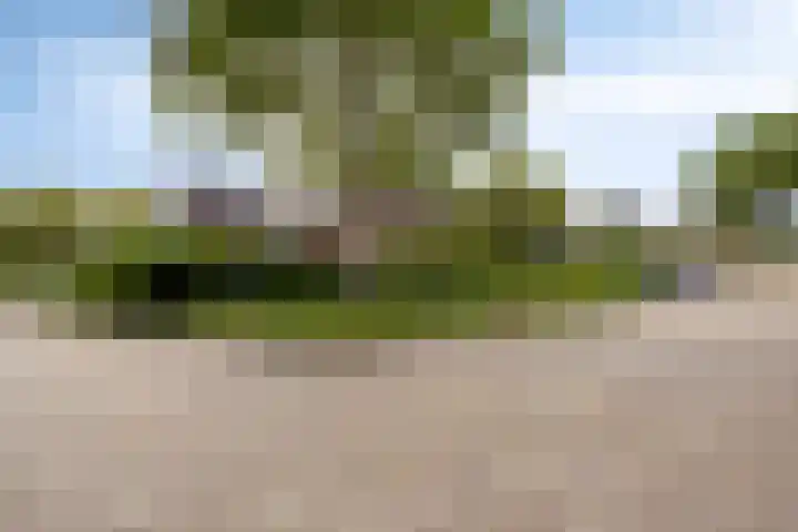 Milhoes 2 Mildam thumbnail 37