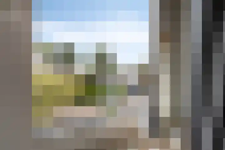 Milhoes 2 Mildam thumbnail 38