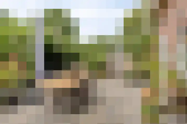 Milhoes 2 Mildam thumbnail 45