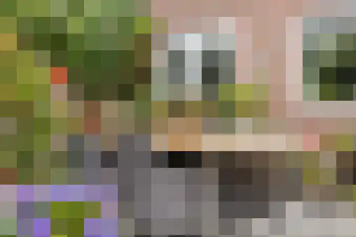 Milhoes 2 Mildam thumbnail 46