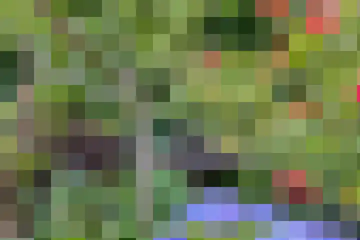Milhoes 2 Mildam thumbnail 50