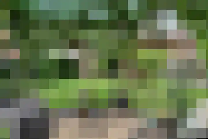 Milhoes 2 Mildam thumbnail 51