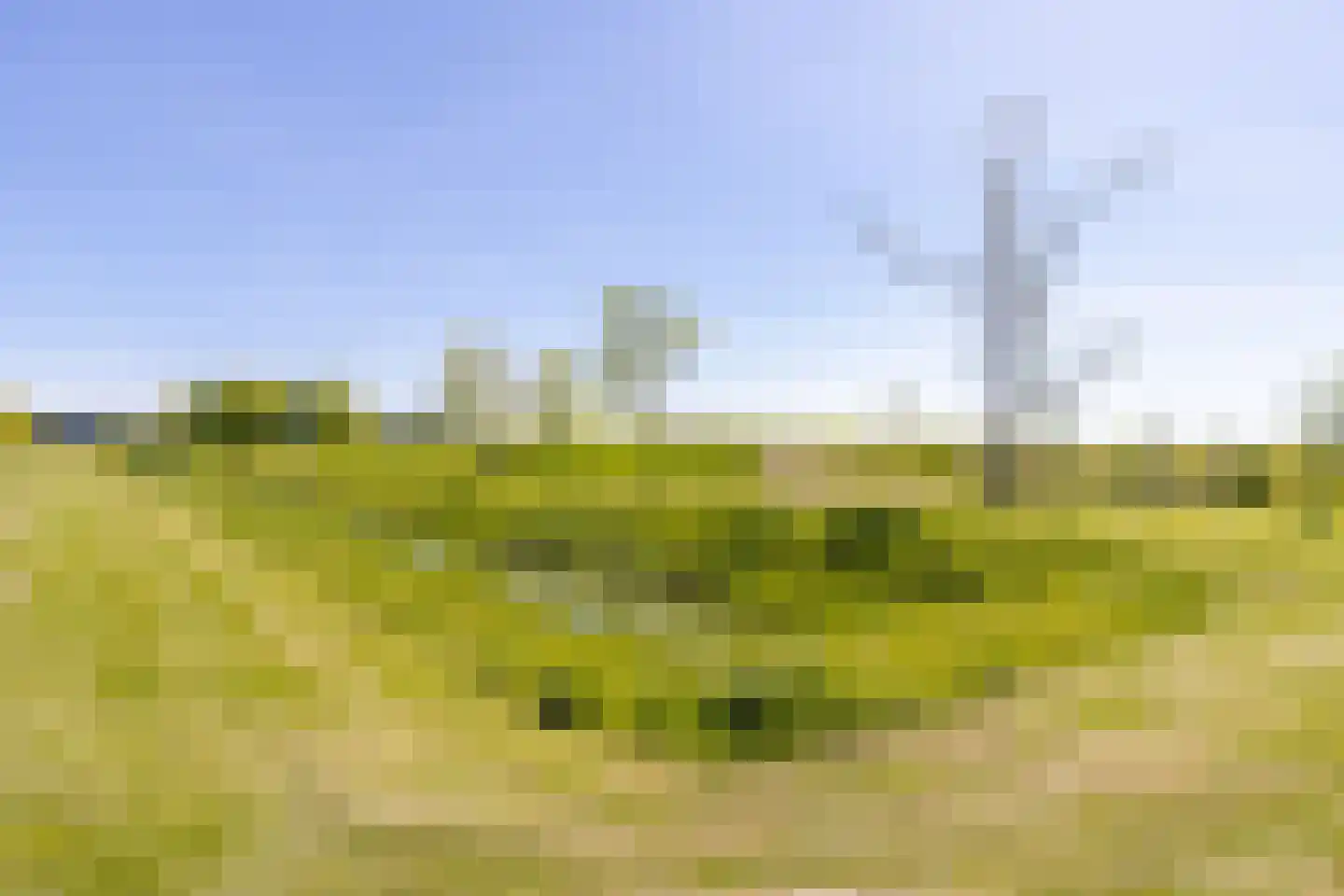 Milhoes 2 Mildam thumbnail 57