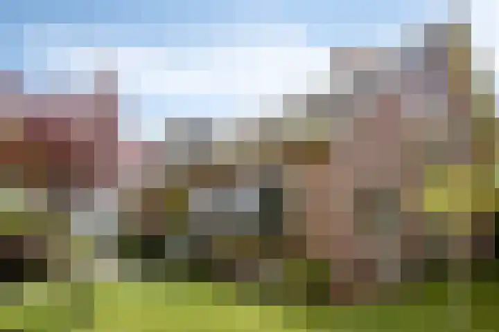 Milhoes 2 Mildam thumbnail 58
