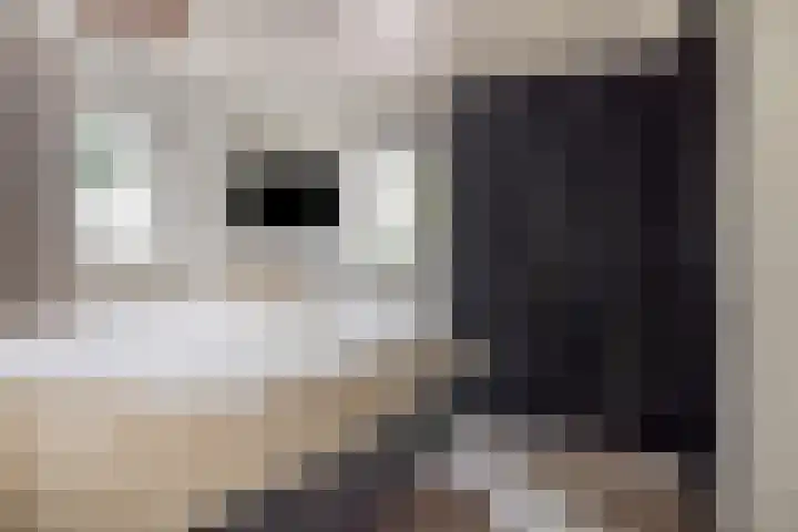 Milhoes 2 Mildam thumbnail 7