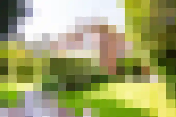 Militairenweg 17 Overveen thumbnail 30