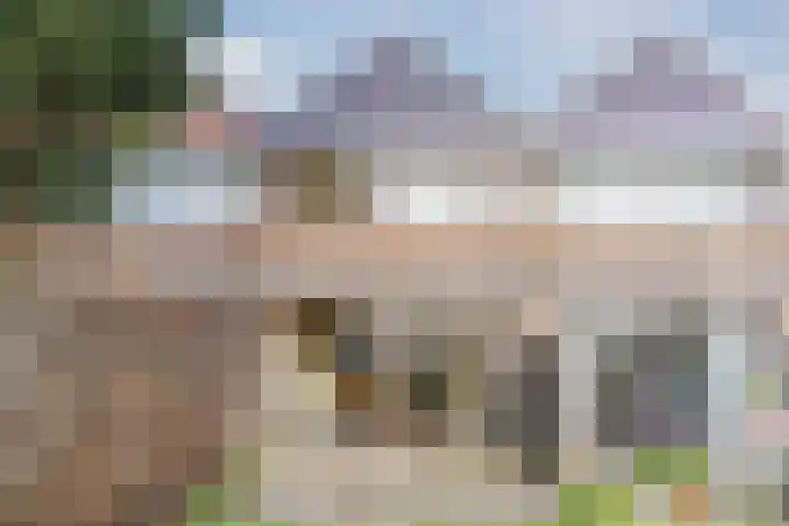 Militaireweg 111 Krommenie thumbnail 29