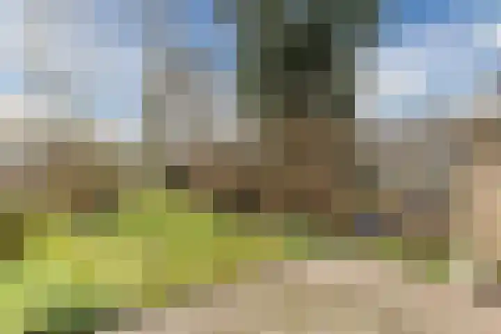 Militaireweg 111 Krommenie thumbnail 32