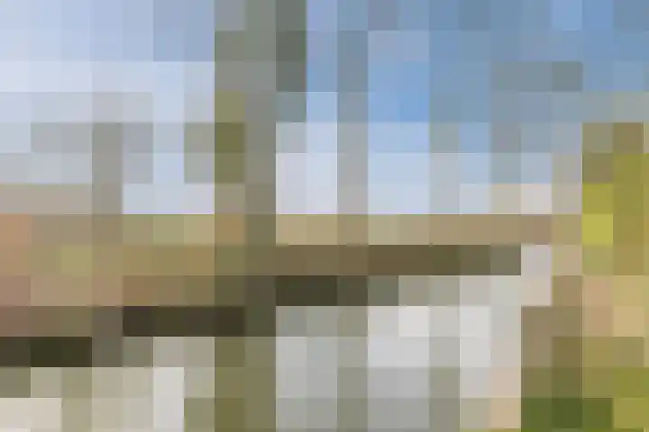 Militaireweg 111 Krommenie thumbnail 34