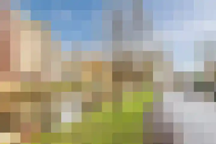 Militaireweg 111 Krommenie thumbnail 35