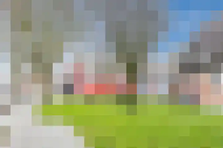 Militaireweg 111 Krommenie thumbnail 36