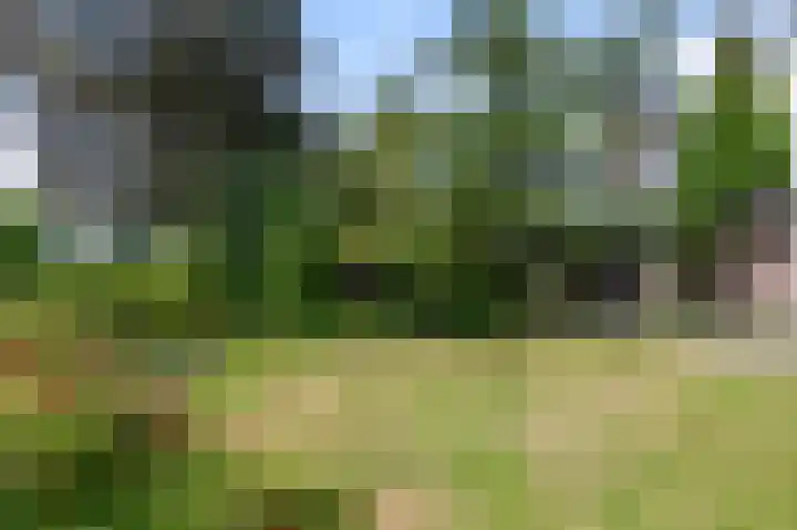 Militaireweg 117 Krommenie thumbnail 22