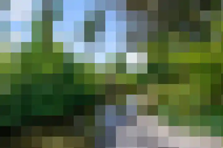 Militaireweg 117 Krommenie thumbnail 23