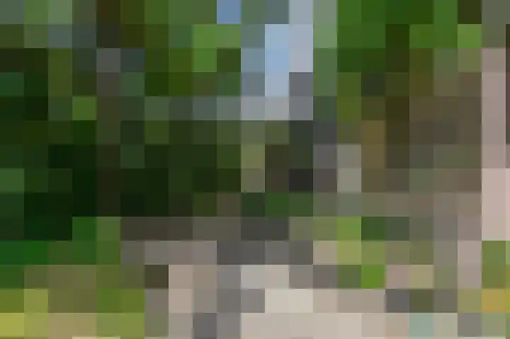 Militaireweg 117 Krommenie thumbnail 24
