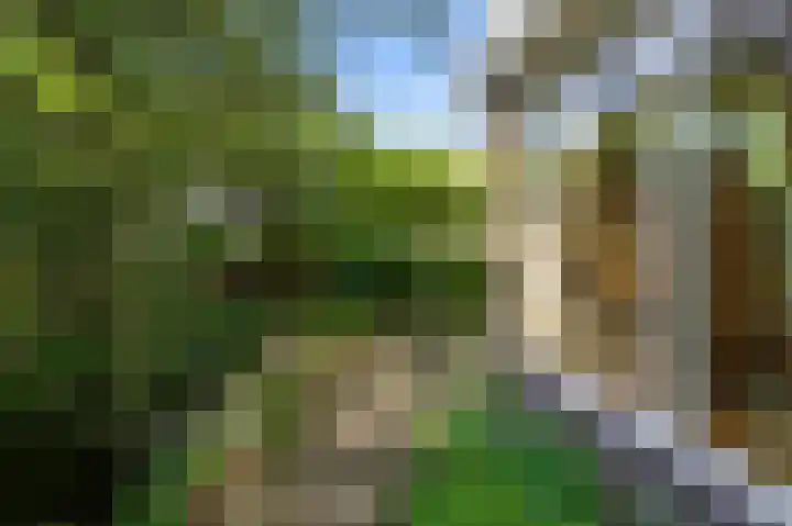 Militaireweg 117 Krommenie thumbnail 26