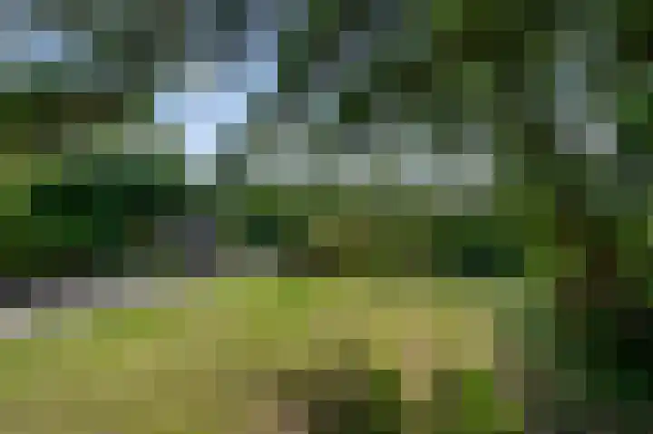 Militaireweg 117 Krommenie thumbnail 29