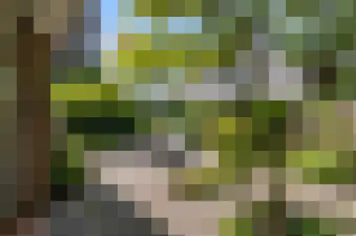Militaireweg 117 Krommenie thumbnail 31
