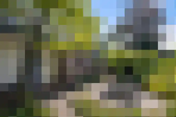Militaireweg 117 Krommenie thumbnail 32
