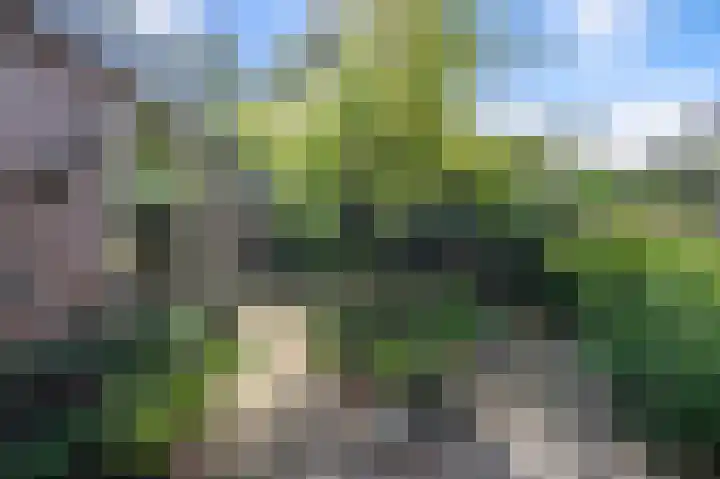 Militaireweg 117 Krommenie thumbnail 33