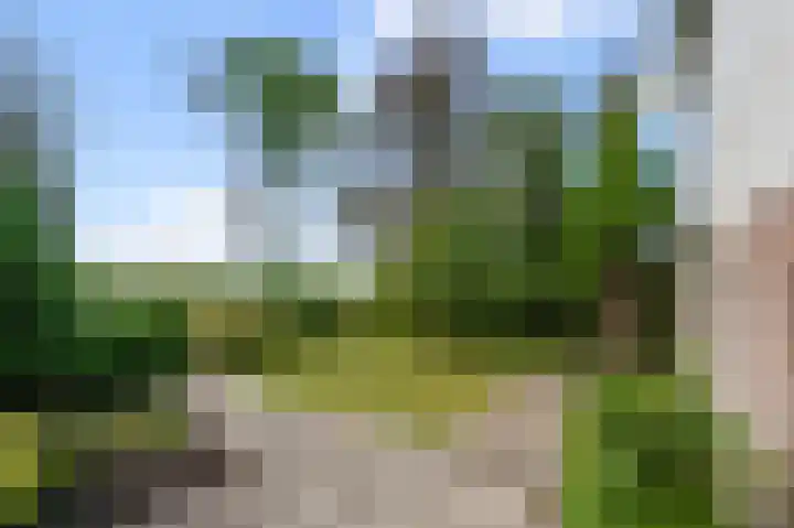 Militaireweg 117 Krommenie thumbnail 34