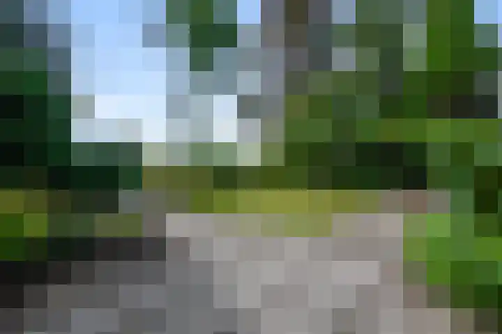 Militaireweg 117 Krommenie thumbnail 35