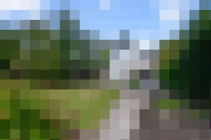 Militaireweg 117 Krommenie thumbnail 36