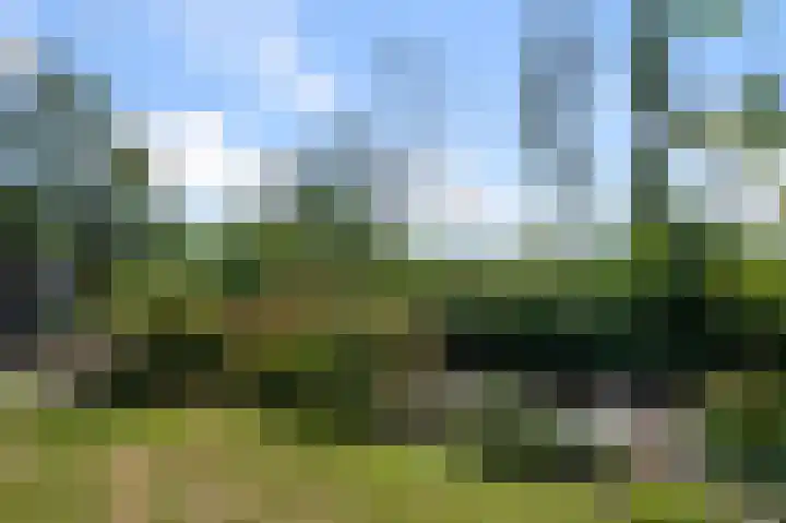 Militaireweg 117 Krommenie thumbnail 37