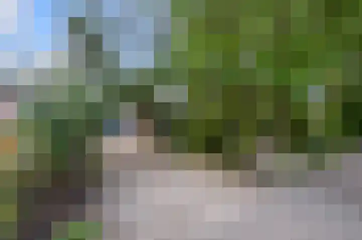 Militaireweg 117 Krommenie thumbnail 53