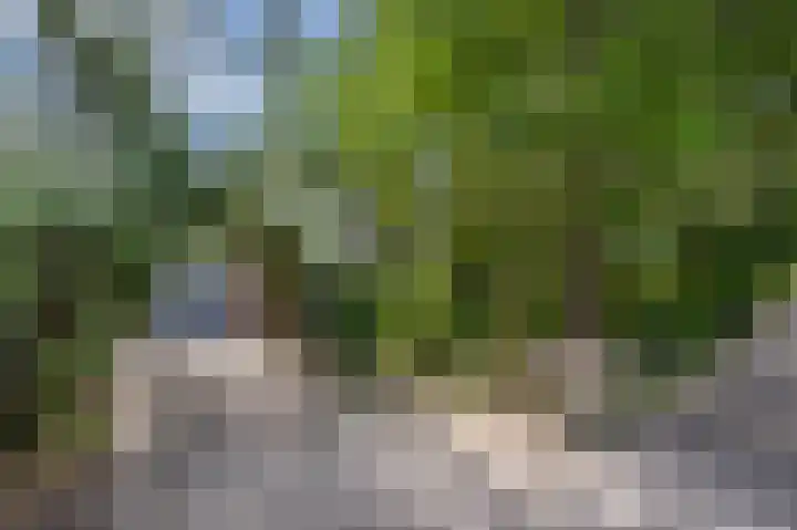 Militaireweg 117 Krommenie thumbnail 54