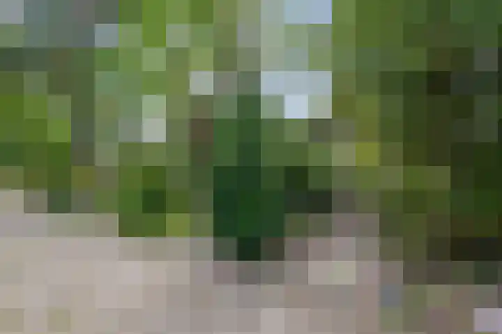 Militaireweg 117 Krommenie thumbnail 55
