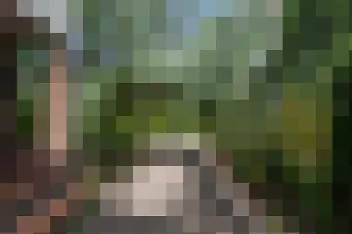 Militaireweg 117 Krommenie thumbnail 56
