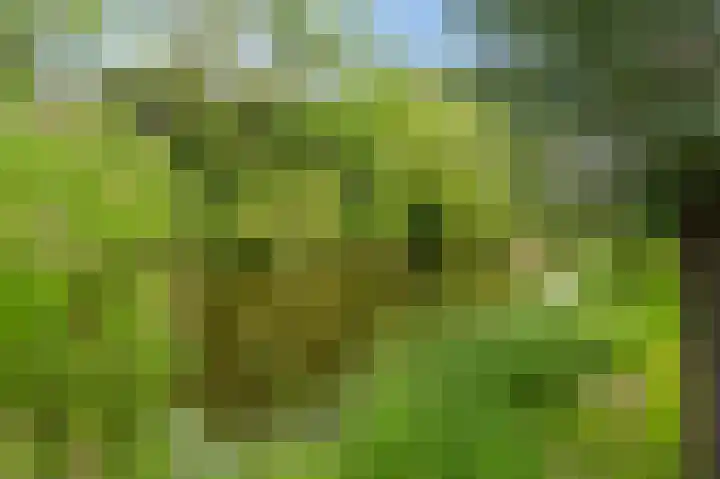 Militaireweg 117 Krommenie thumbnail 57