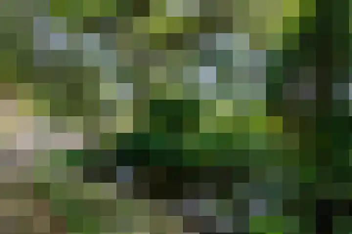 Militaireweg 117 Krommenie thumbnail 58