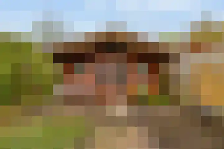 Militaireweg 65 Krommenie thumbnail 29