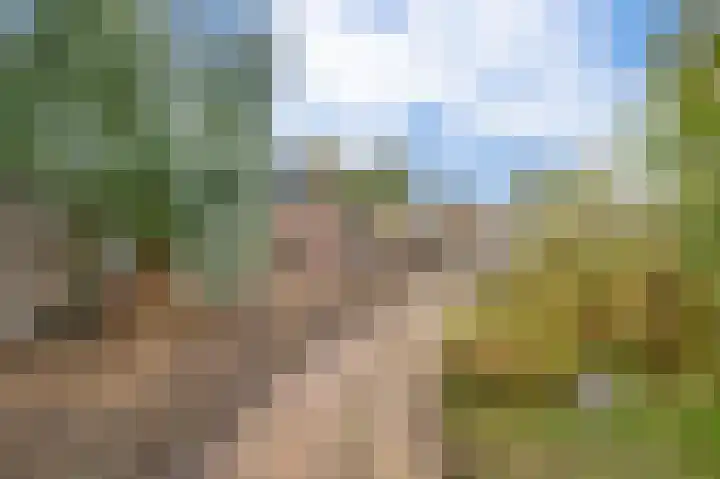 Militaireweg 65 Krommenie thumbnail 4