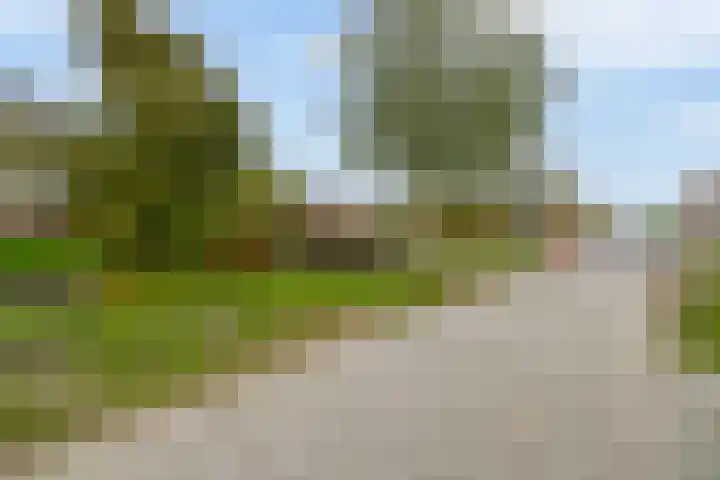 Militaireweg 65 Krommenie thumbnail 5
