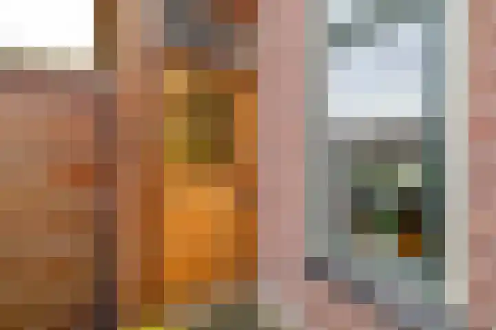 Militaireweg 65 Krommenie thumbnail 9