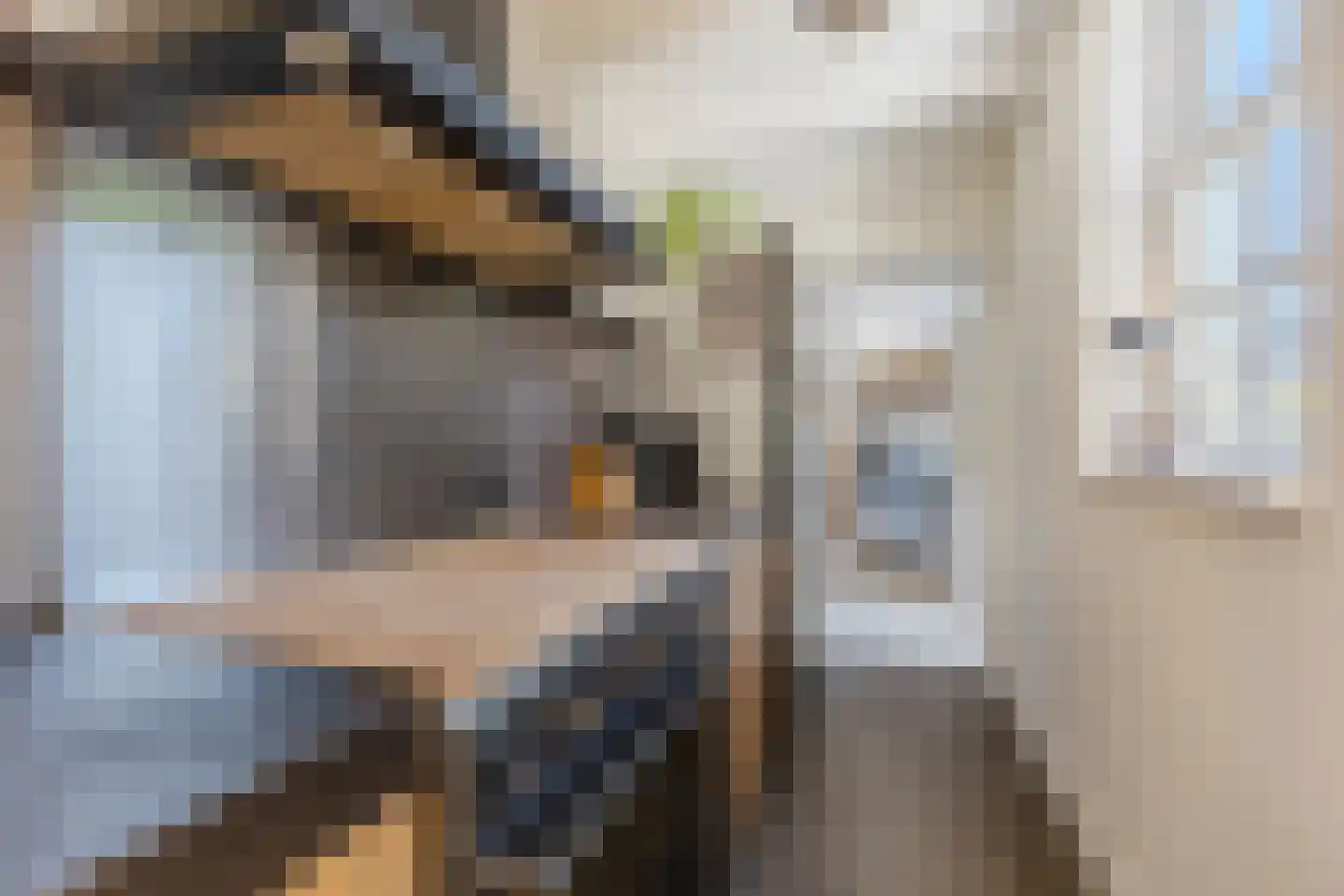 Militaireweg 69 Krommenie thumbnail 17