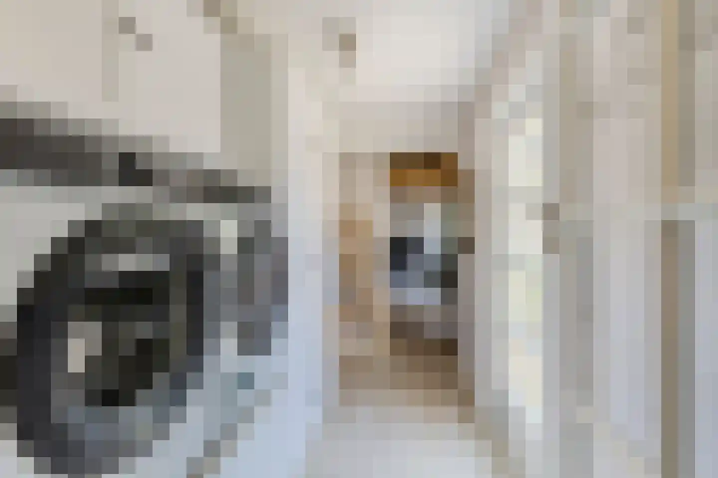 Militaireweg 69 Krommenie thumbnail 19