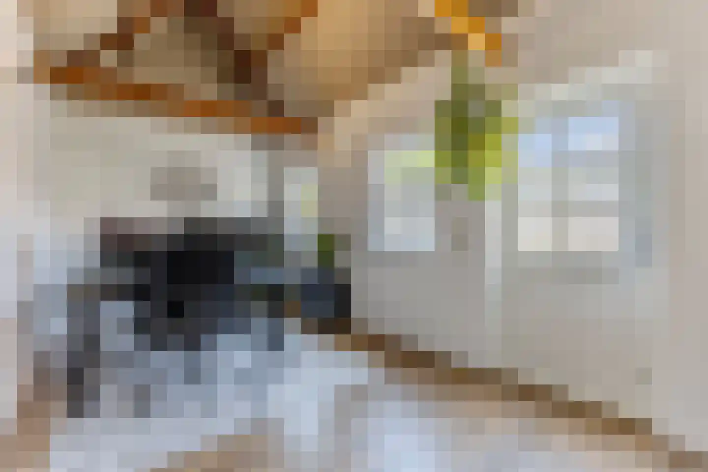 Militaireweg 69 Krommenie thumbnail 22